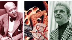 Jacques lacan e il caso dell'uomo delle cervella fresche